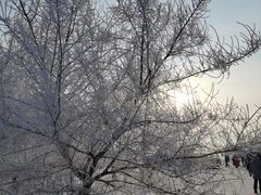-雾凇岛