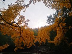 -香山公园