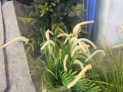-暴风岛沉浸式体验馆(百联世纪店)