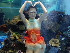 -成都浩海立方海洋公园