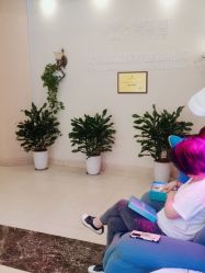 -碧莲盛·不剃发植发