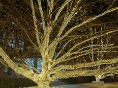 -北京市海淀外国语实验学校