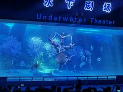 -泉城欧乐堡海洋极地世界