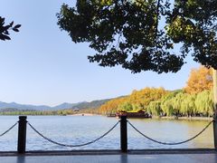 -北山街历史文化街区