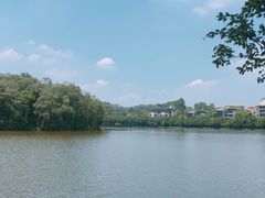 -三水森林公园