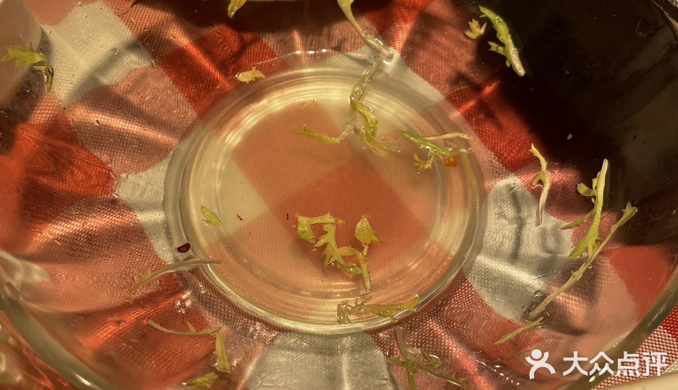 来东郊一定要吃这家鸡!美滴很