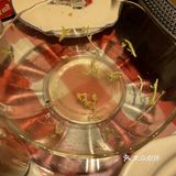 来东郊一定要吃这家鸡!美滴很