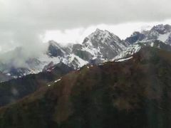 -黄龙山原始森林景区
