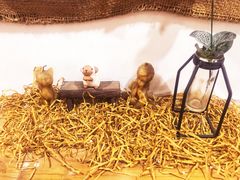 -参差咖啡(水果湖公园店)