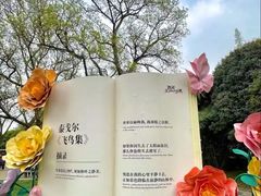 -西苑公园