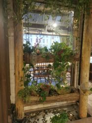 -青青一生美皮肤管理