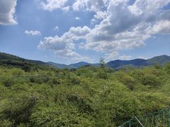 -陶祖圣境风景区