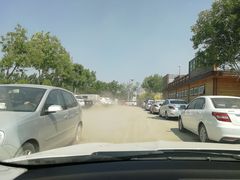 -武清南湖绿博园