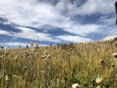 -成都濑川外国语学校