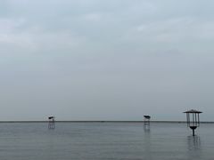 -碧海金沙