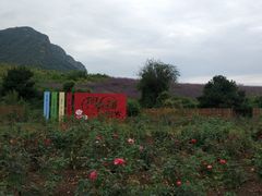 -密云玫瑰情园