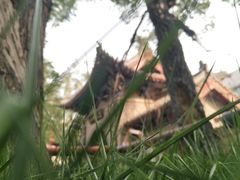 -洛阳周公庙博物馆