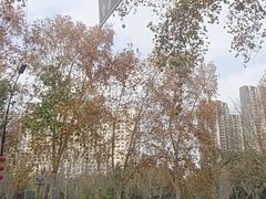 -西苑公园