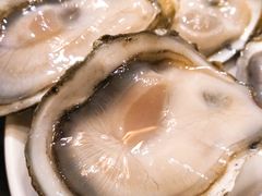 新西兰生蚝-OPEN開全日自助餐厅·西餐·海鲜(佛山希尔顿酒店)