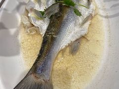特色蒸桂花鱼-大门水乡·顺德菜