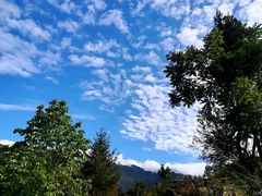 -白鹭湾湿地公园