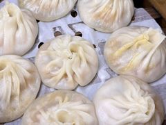 -莱莱小笼·乔艾