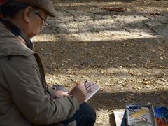 -天目山大树王景区