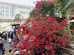 景观位-大厨的餐厅(曾厝垵总店)