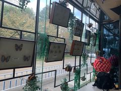 -上海大自然野生昆虫馆(东方明珠·爬宠昆虫探索中心)