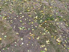 -盘龙城国家考古遗址公园