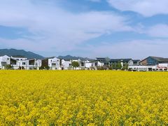 -东梓关景区村庄