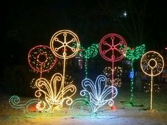 -沈阳奥体冰雪嘉年华