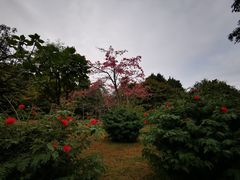 -晓港公园