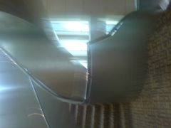 DSC03625-上海波特曼丽思卡尔顿酒店