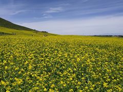 -扁都口生态休闲旅游区