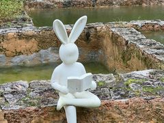 -MOJ coffee(瓯海泽雅水碓坑店)