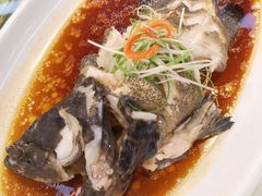 -海鲜城大家餐厅