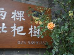 门面-两棵枇杷树