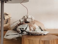 -Heymao猫咖.咖啡厅(东门店)