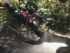 -古龙峡云天玻霸