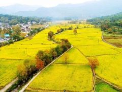 -塔川景区