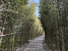 -唐山河头老街国丰维景国际大酒店