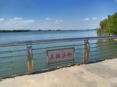 -漕湖湿地公园
