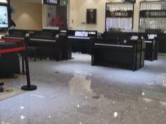 -知音艺术教育培训·钢琴培训·音乐培训(河西金鹰世界校区)