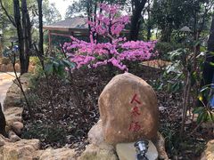 -山湖温泉
