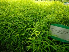 android_upload_pic-白塘生态植物园