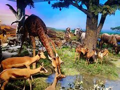 -国家自然博物馆