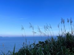 -温岭石塘海边