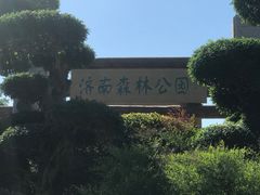 -济南森林公园