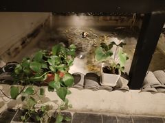 -瓦舍茶馆(聚源路店)